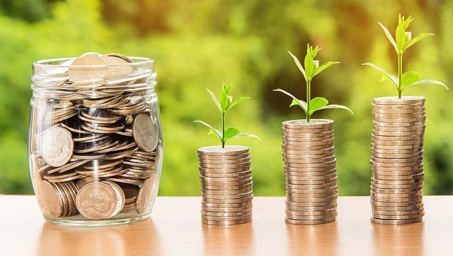 PHC benefits plants growing out of money