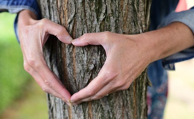 PHC love man hugging a tree