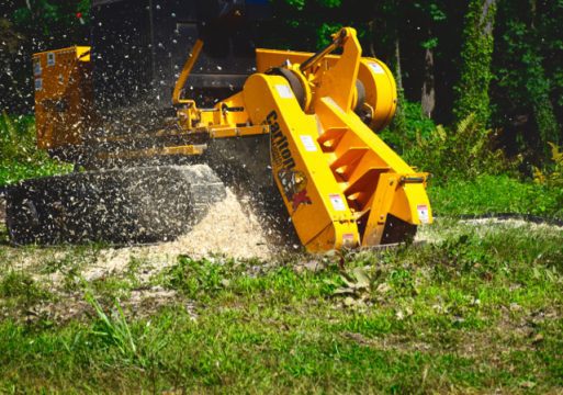 stump-grinding-1